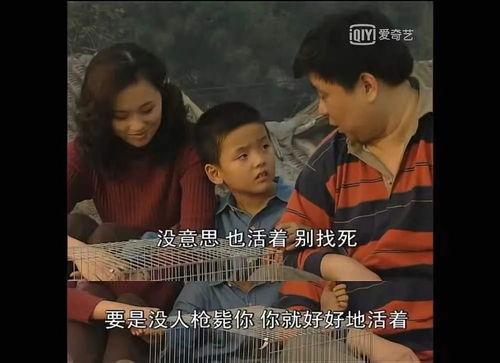 手机在线观看国产剧,在线观看国产剧的精彩瞬间  第2张